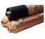 GeoGard 1,52 mm EPDM membrána s hladkým povrchem 7,62 x 30,50 m