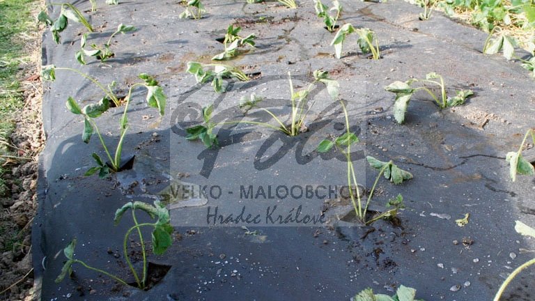 Netkaná textilie černá š. 3,2x250m UV - role 800m2