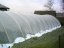 Plachta na foliovník AGRO UV 1x6m