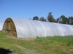 Plachta na foliovník z kašírované fólie 7 x 7m UV