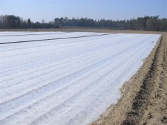 Netkaná textilie bílá 1,6x50m UV - role 80m2