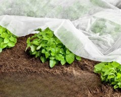 Netkaná textilie bílá 1,6 x 3m UV